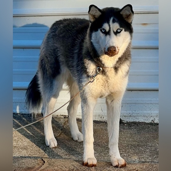 💁🏻♀️ HI!! 👸🏻 - Picture 3 of 16